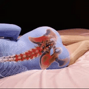 Almohada ortopédica correctora para piernas y cuello ☁️🌬️